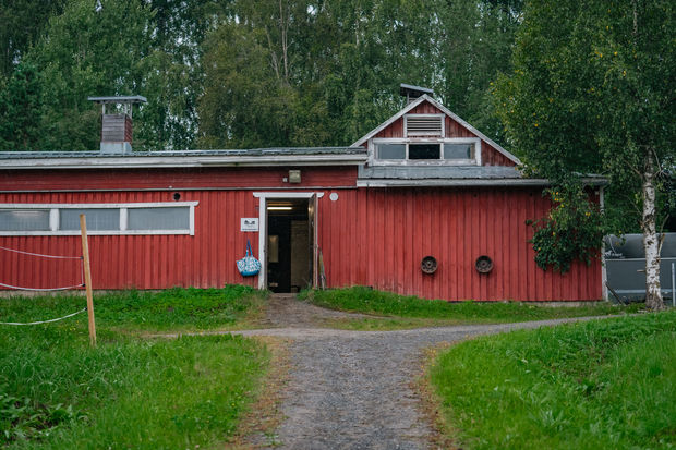 Ratsastuskoulutalli